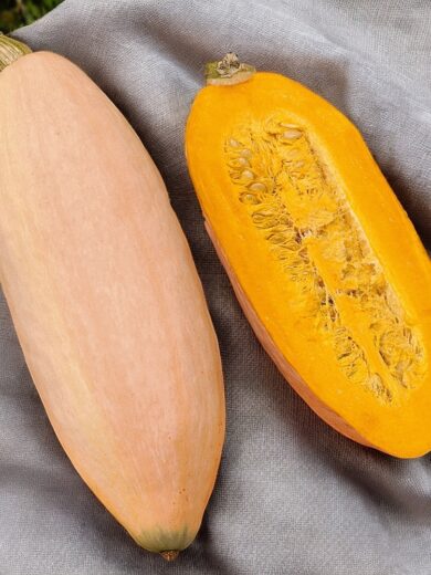 Potiron 'Pink Jumbo Banana' (Variété originale) Graines