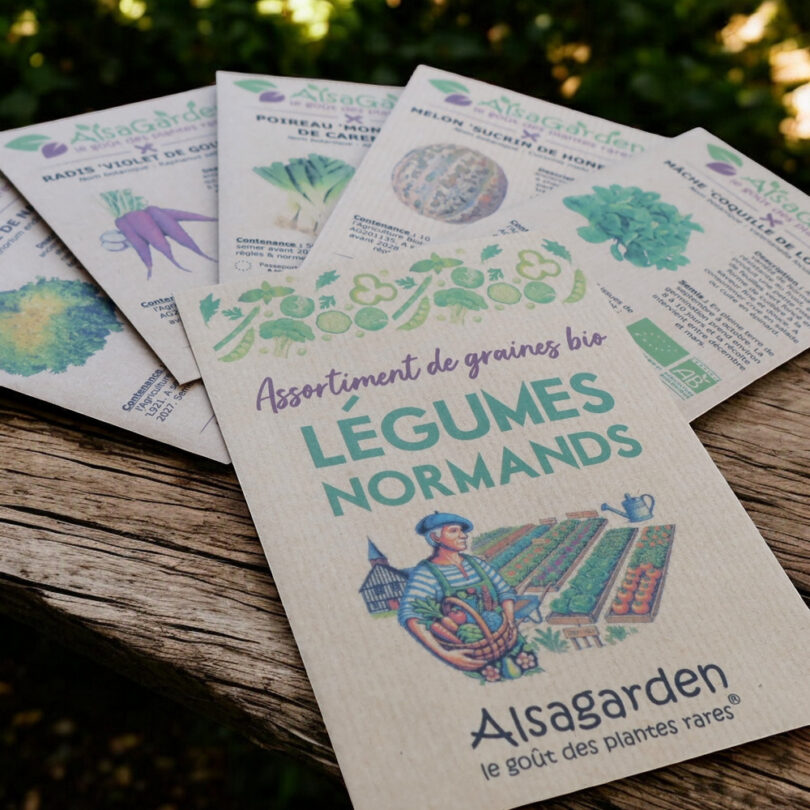 Assortiment Légumes Normands (5 Variétés de graines BIO) – Image 2