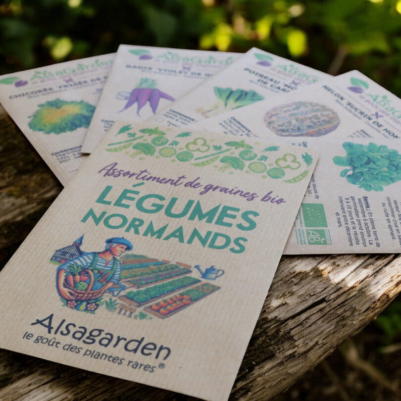 Assortiment Légumes Normands (5 Variétés de graines BIO) – Image 3