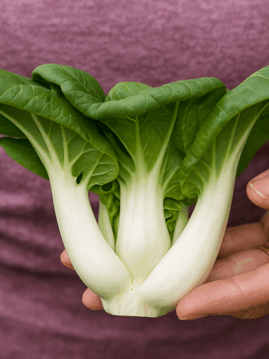 Chou chinois 'Tiny Bok Choy' (Variété miniature) Graines