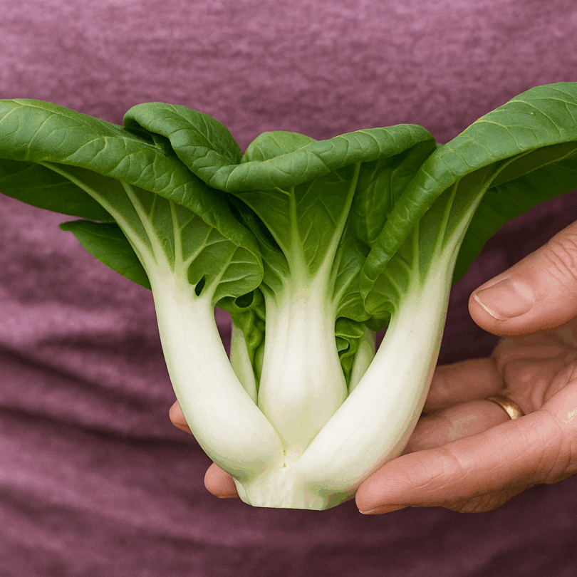 Chou chinois 'Tiny Bok Choy' (Variété miniature) Graines