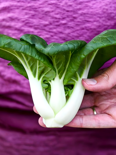 Chou chinois 'Tiny Bok Choy' (Variété miniature) Graines
