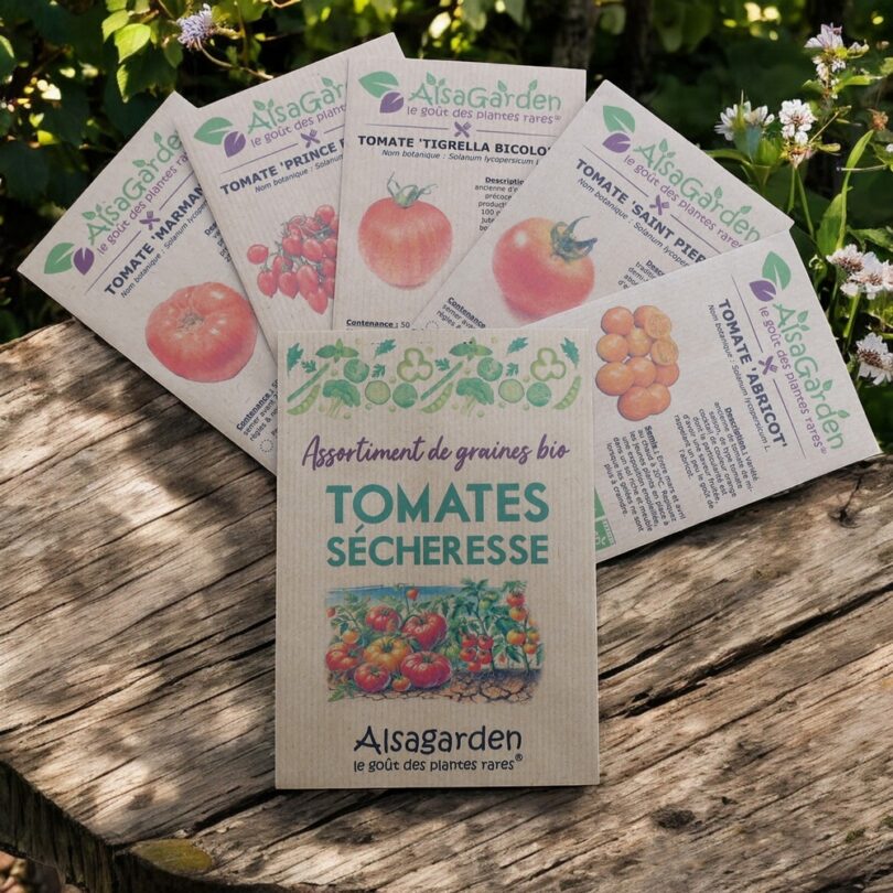 Assortiment Tomates résistantes à la Sécheresse (5 Variétés de graines BIO)