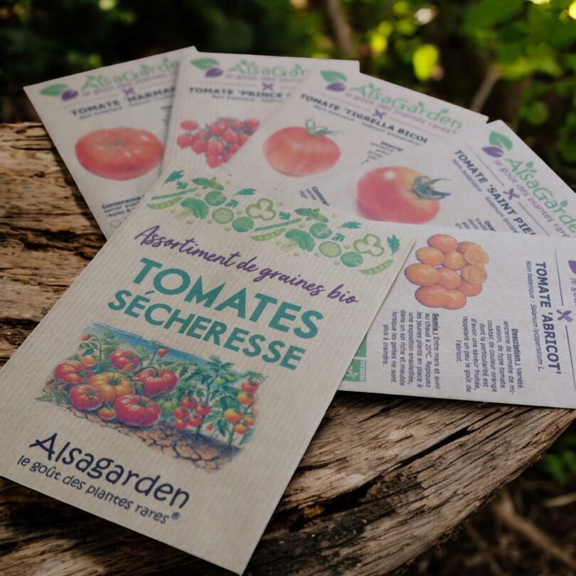 Assortiment Tomates résistantes à la Sécheresse (5 Variétés de graines BIO) – Image 2