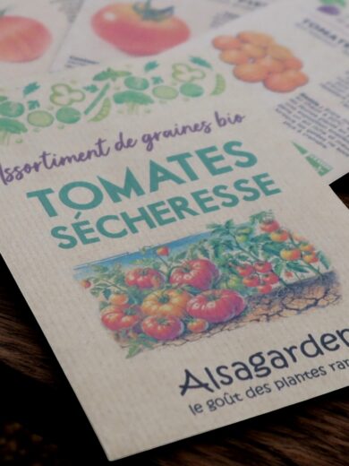 Assortiment Tomates résistantes à la Sécheresse (5 Variétés de graines BIO) – Image 3