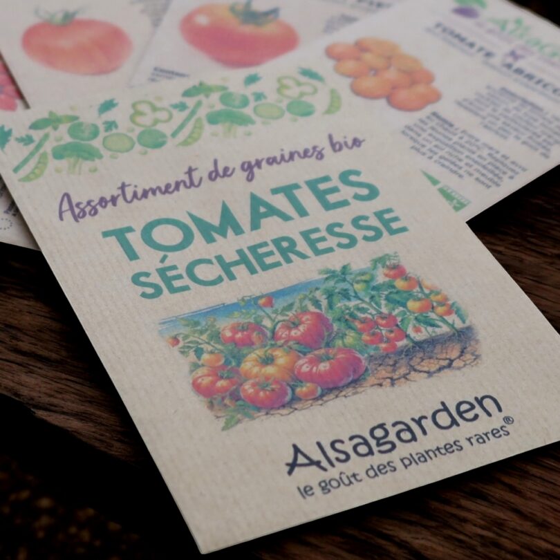 Assortiment Tomates résistantes à la Sécheresse (5 Variétés de graines BIO) – Image 3