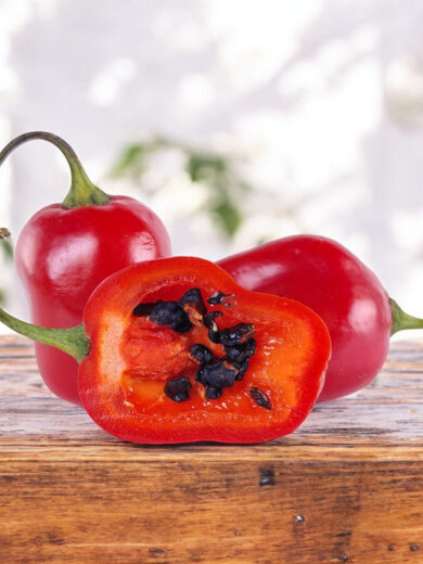 Piment Rocoto 'Mini-Red' (Variété rare) Graines