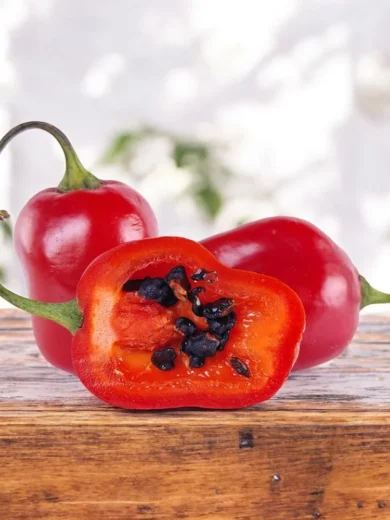 Piment Rocoto 'Mini-Red' (Variété rare) Graines
