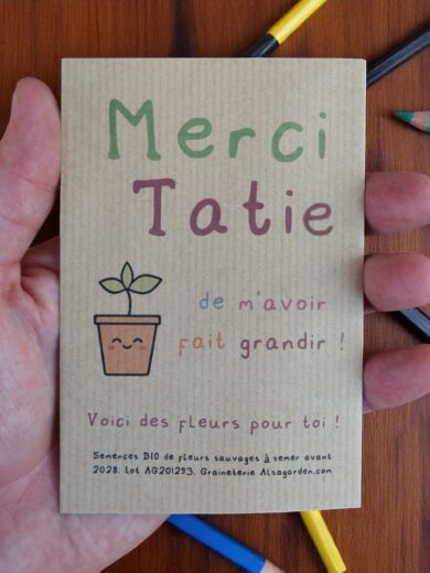 Carte de vœux à semer "Merci Tatie" (Jeune pousse) - Graines de Fleurs sauvages