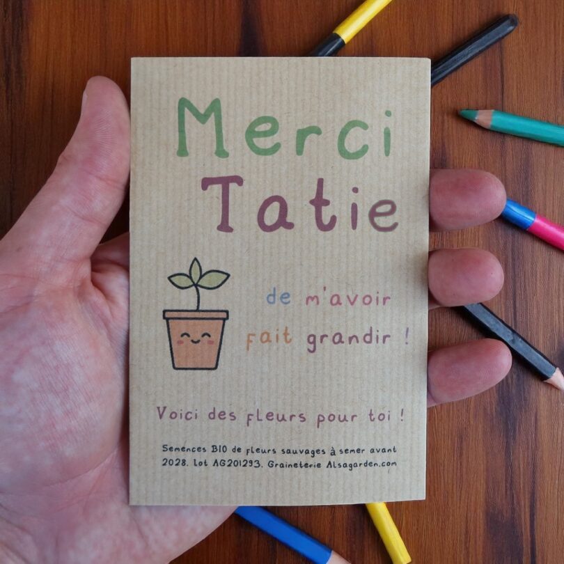 Carte de vœux à semer "Merci Tatie" (Jeune pousse) - Graines de Fleurs sauvages