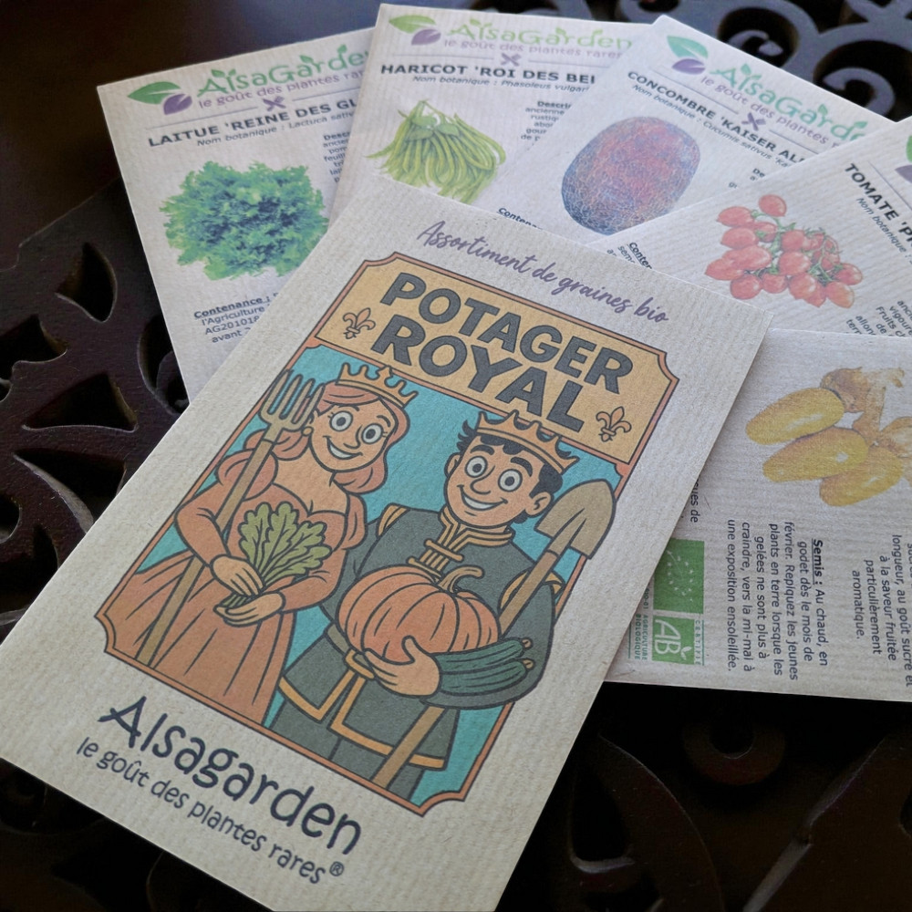 Assortiment Potager Royal (5 Variétés de graines BIO) – Image 2