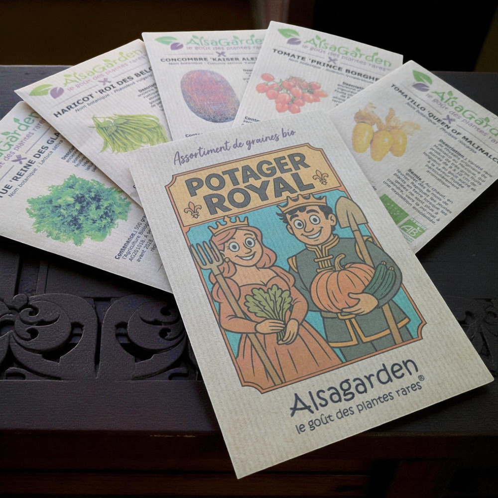 Assortiment Potager Royal (5 Variétés de graines BIO) – Image 3