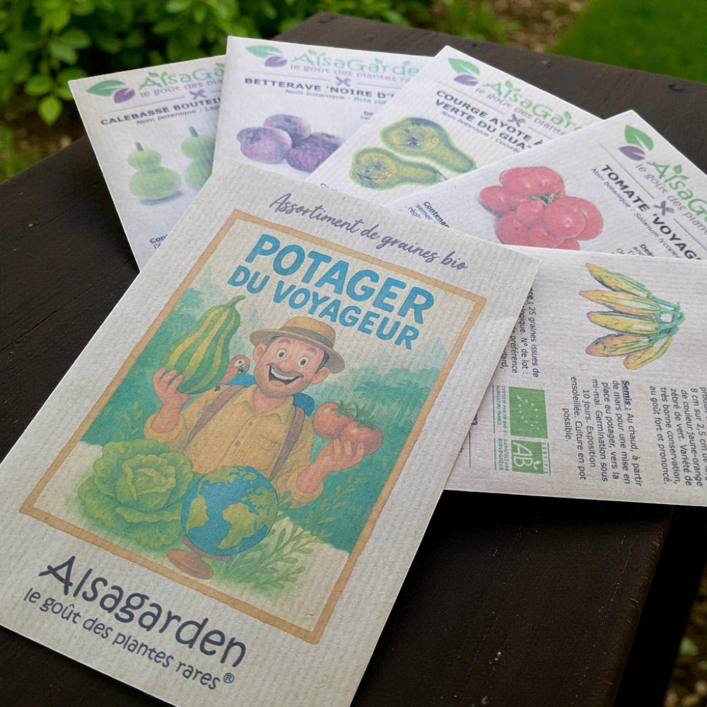 Assortiment Potager du Voyageur (5 Variétés de graines BIO) – Image 2