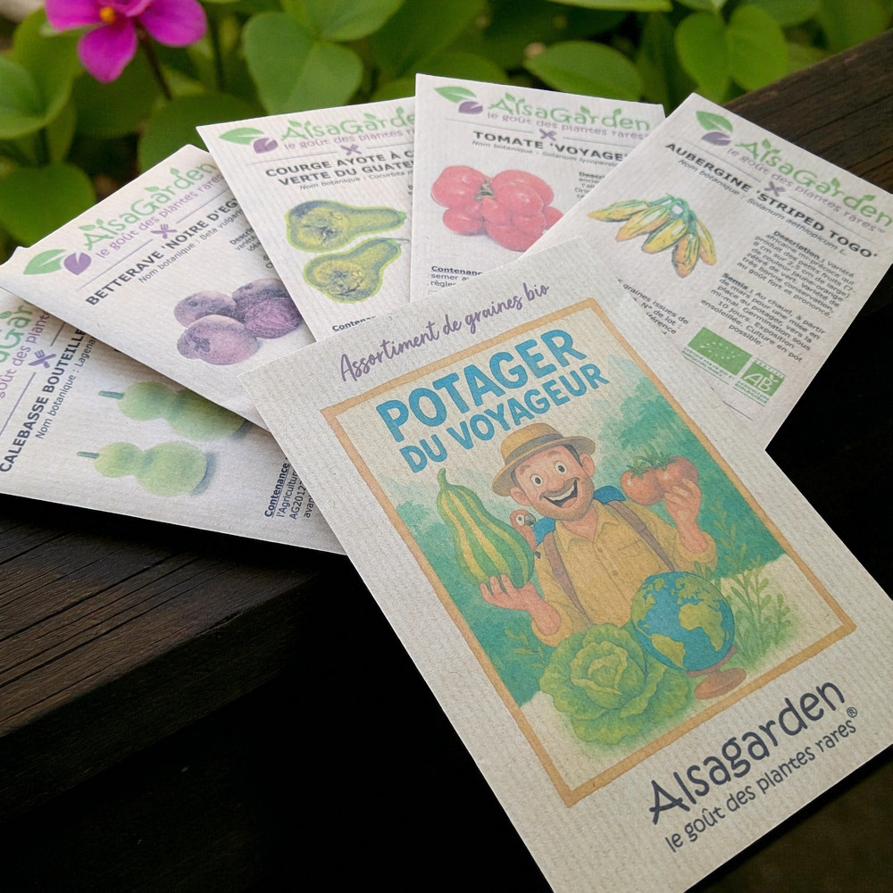 Assortiment Potager du Voyageur (5 Variétés de graines BIO) – Image 3