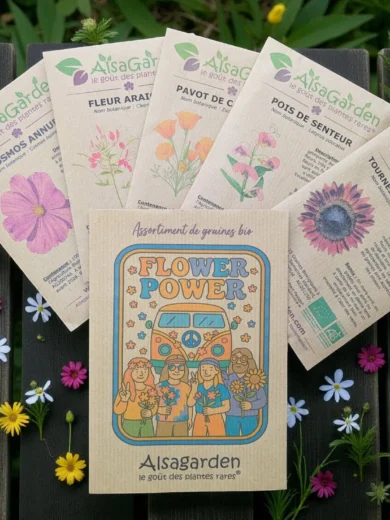 Assortiment Flower Power (5 Variétés de graines BIO)