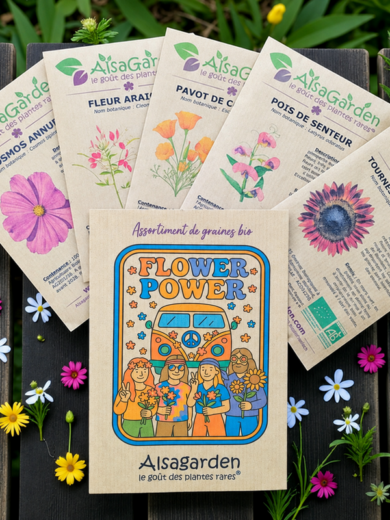 Assortiment Flower Power (5 Variétés de graines BIO)