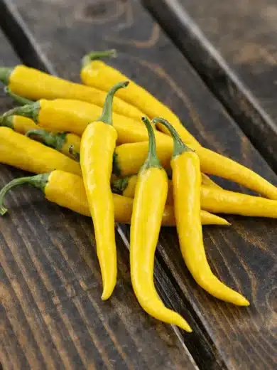 Piment 'Cayenne Jaune' (Variété Rare) Graines