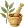 Ethnobotanique