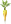 Légumes curieux