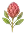 Plantes rares et insolites