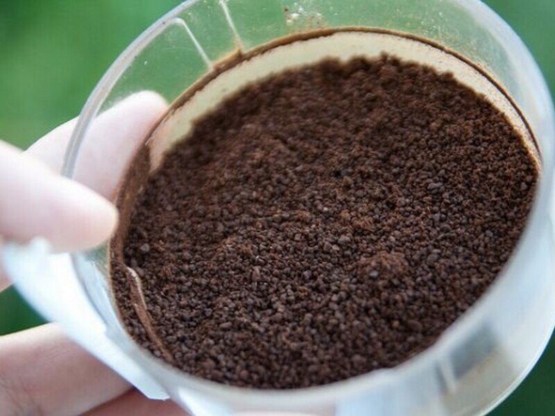 Marc de café, l’or brun du jardinier !