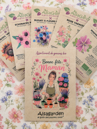 Assortiment Bonne fête Maman (5 Variétés de graines BIO)