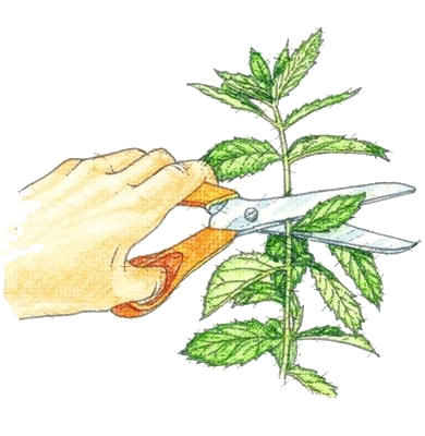 Ateliers & Evènements