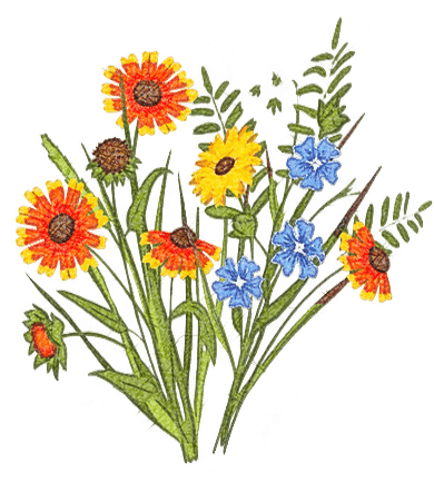 Fleurs & Prairies
