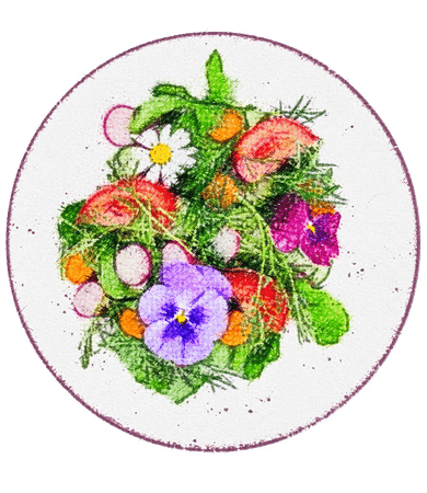 Plantes comestibles
